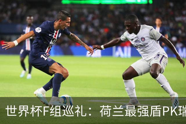 世界杯F组巡礼：荷兰最强盾PK瑞典犀利刀 日本短板明显